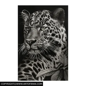 تابلو سیاهقلم چهره پرصلابت پلنگ سبک رئالیسم با زغال و کنته، اثر مطهره غفاری